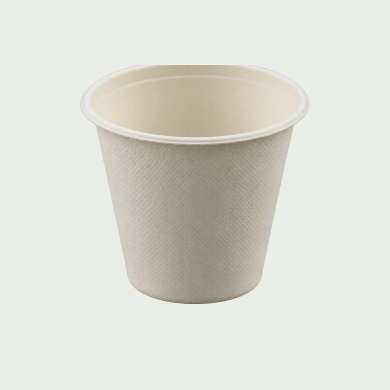 KAMI catalog product image for bagasse cups