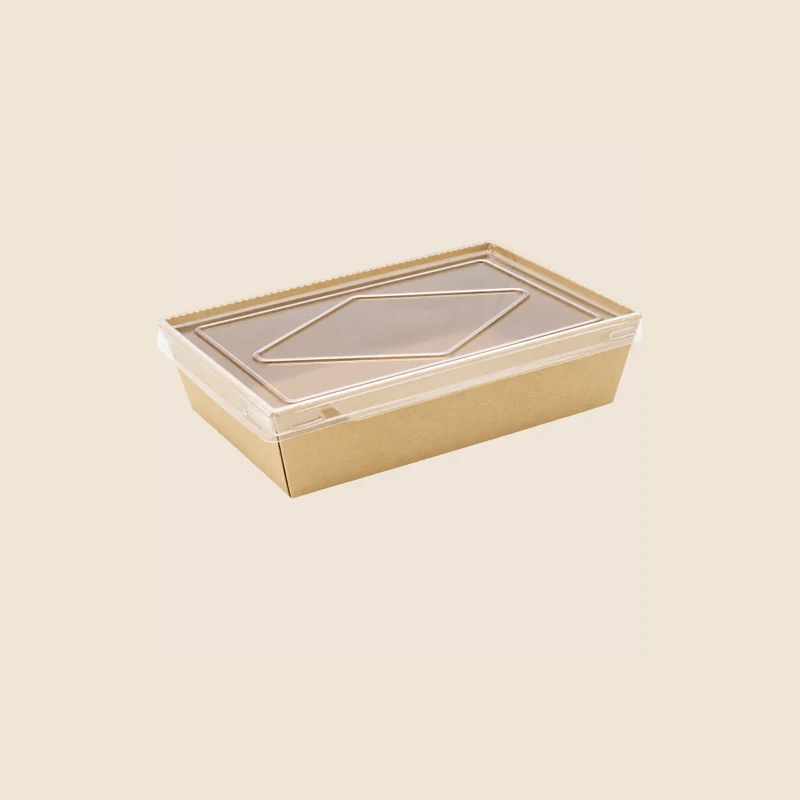 KAMI catalog product image for single-compartment dg tray